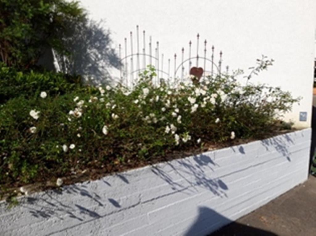 Ferienwohnung Rosa Müller Wangen im Allgäu Exterior foto