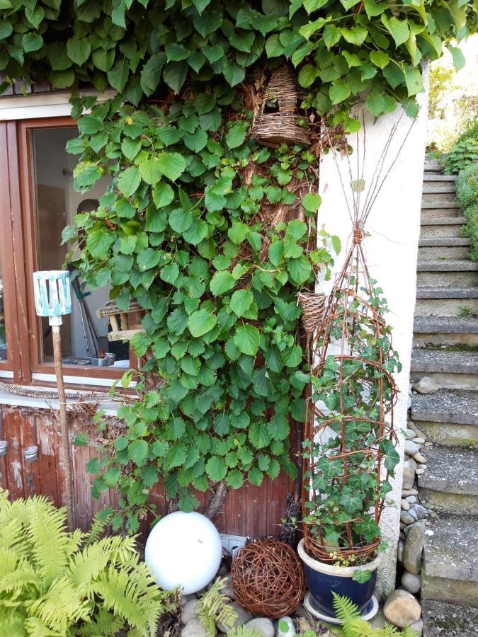 Ferienwohnung Rosa Müller Wangen im Allgäu Exterior foto